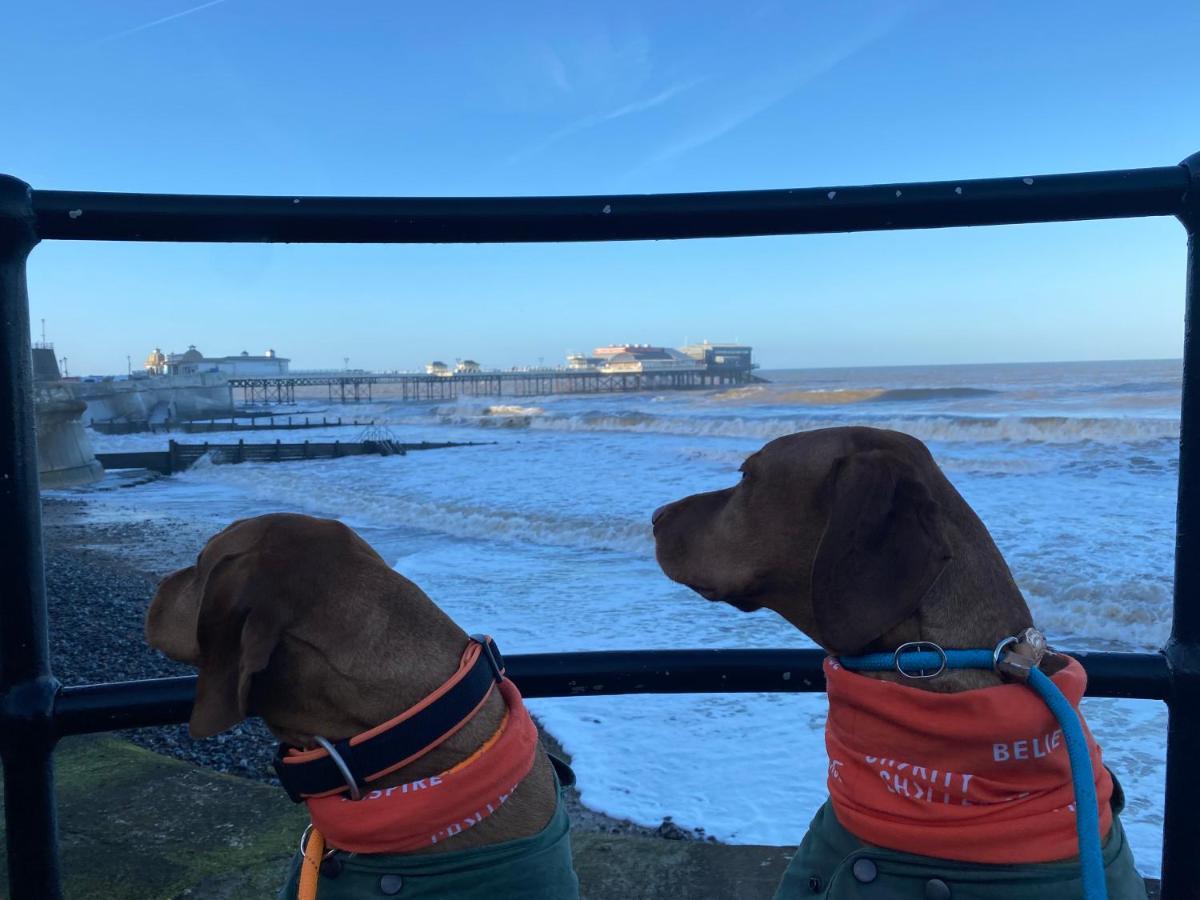 The Red Lion Hotel クロマー エクステリア 写真 Dogs at the pier